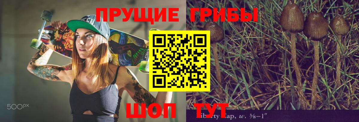 Галлюциногенные грибы GOLDEN TEACHER  Псилоцибиновые грибы ЛСД  Вход с VPN  Майский 